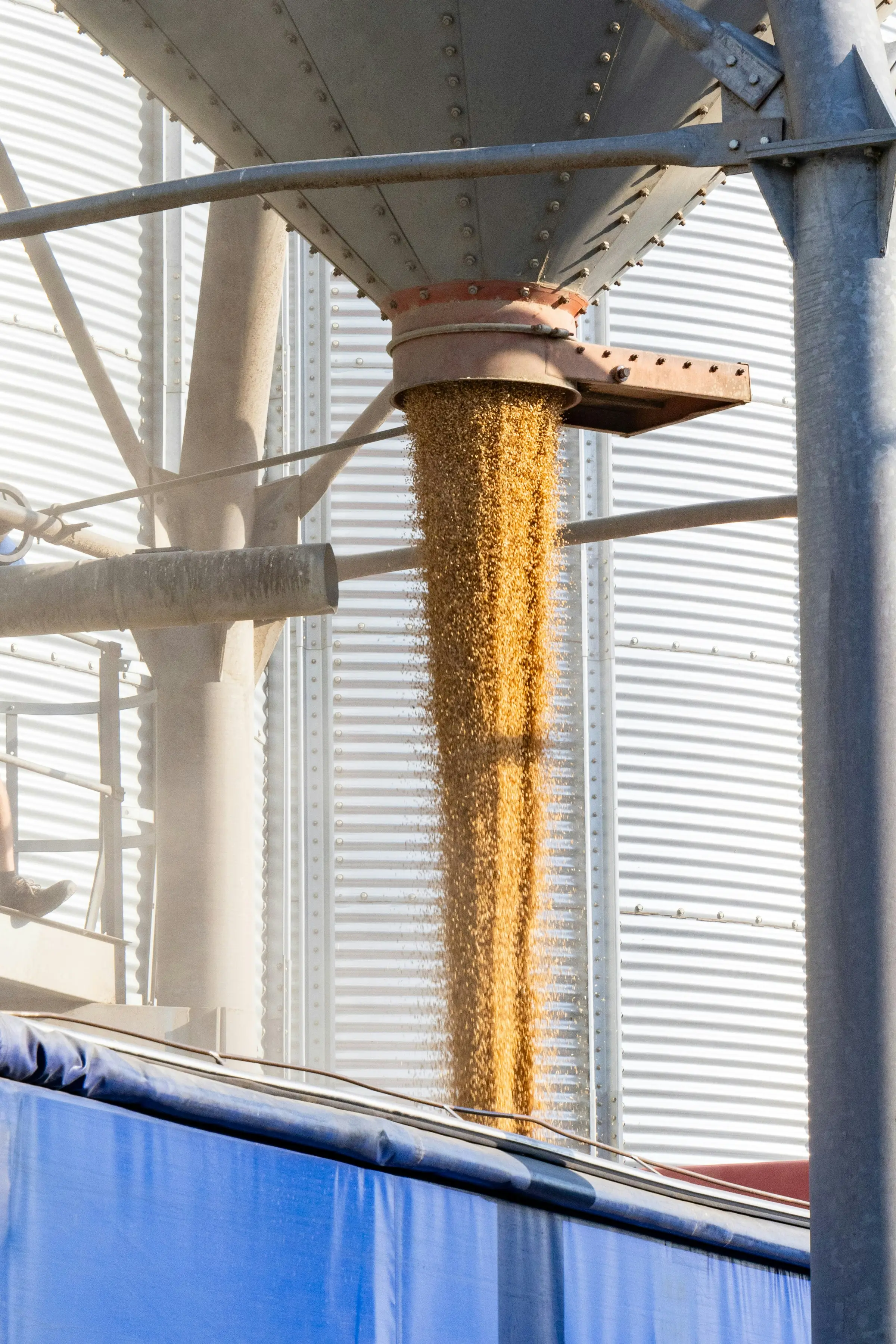 Agri-Food